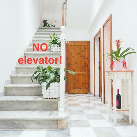 Eco Pisa Tower Guesthouse Eksteriør billede