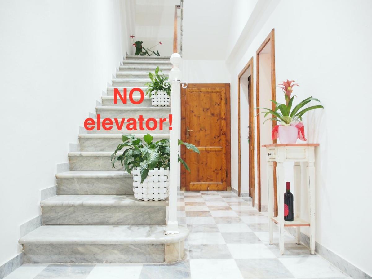 Eco Pisa Tower Guesthouse Eksteriør billede